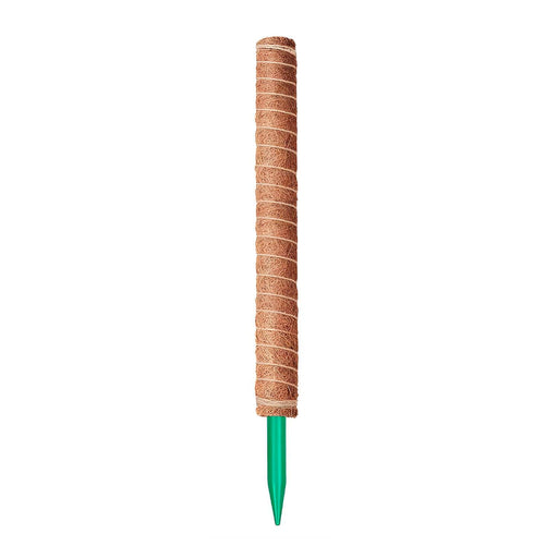 Tutor fibra de coco 62 cm CKX3475