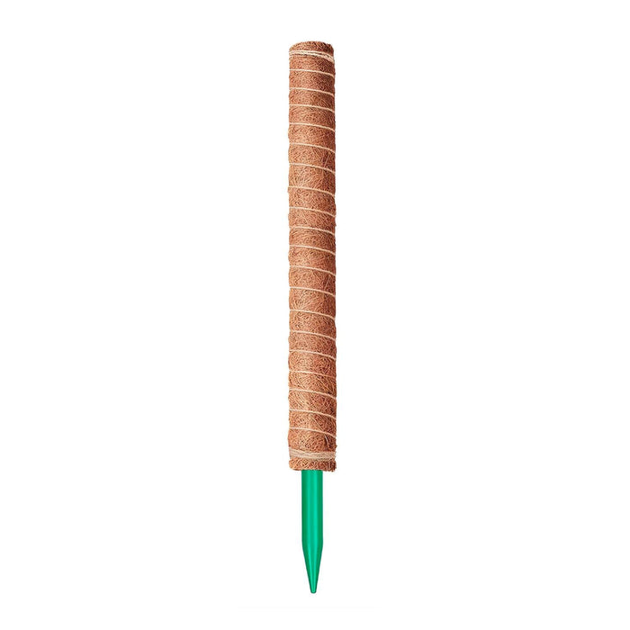 Tutor fibra de coco 62 cm CKX3475