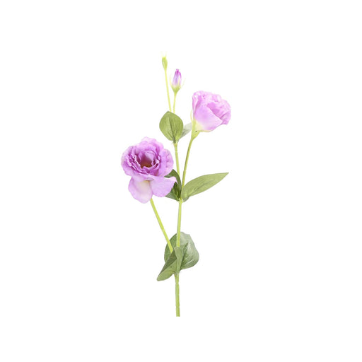 Vara Lisianthus púrpura 82 cm C18XP12-45