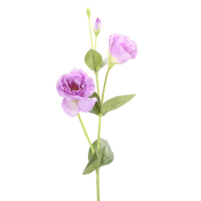 Vara Lisianthus púrpura 82 cm C18XP12-45